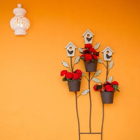 Casa Concha - Peaceful And Relaxing 3* Lagos