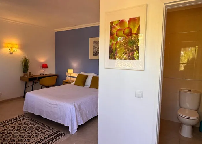 Casa Concha - Peaceful And Relaxing 拉哥斯