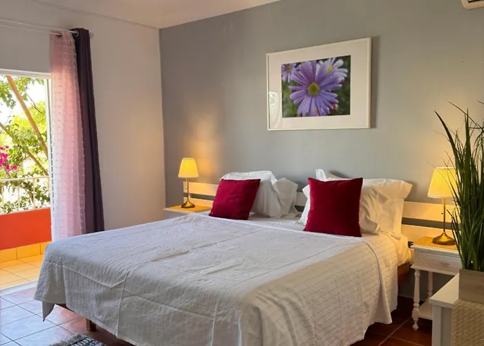 게스트하우스 Casa Concha - Peaceful And Relaxing