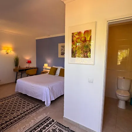 Casa Concha - Peaceful And Relaxing 拉哥斯